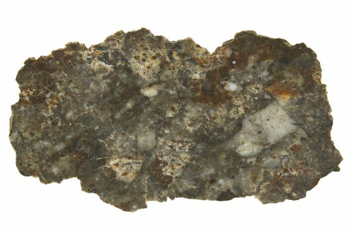 Lunar Meteorite ( g) End Cut Slice - NWA #316711